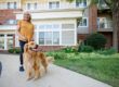 A woman walking her dog in front of the building