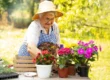Gardening and Dementia: Benefits | The Courtyard at McHenry