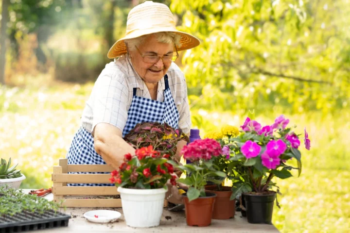 Gardening and Dementia: Benefits | The Courtyard at McHenry